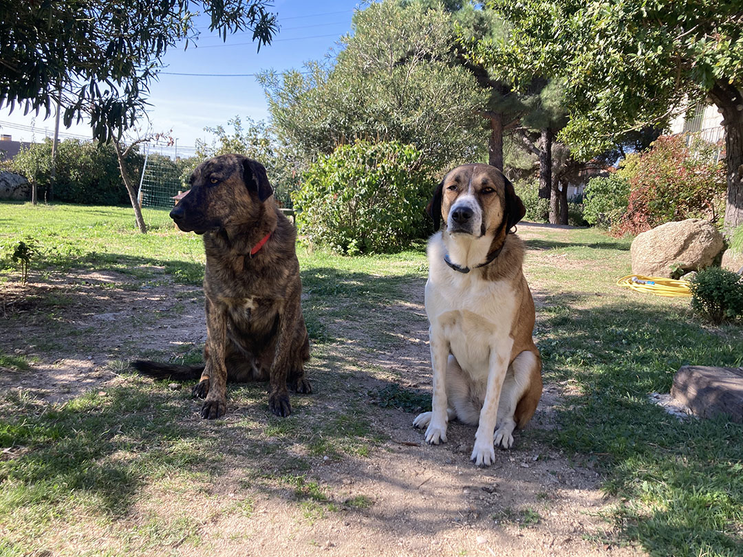 Atardecer en la casita