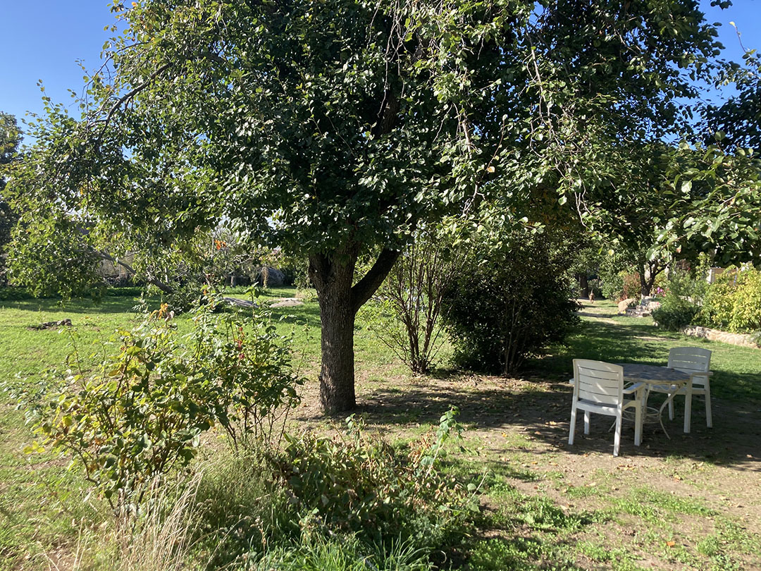 Un aperitivo debajo del peral